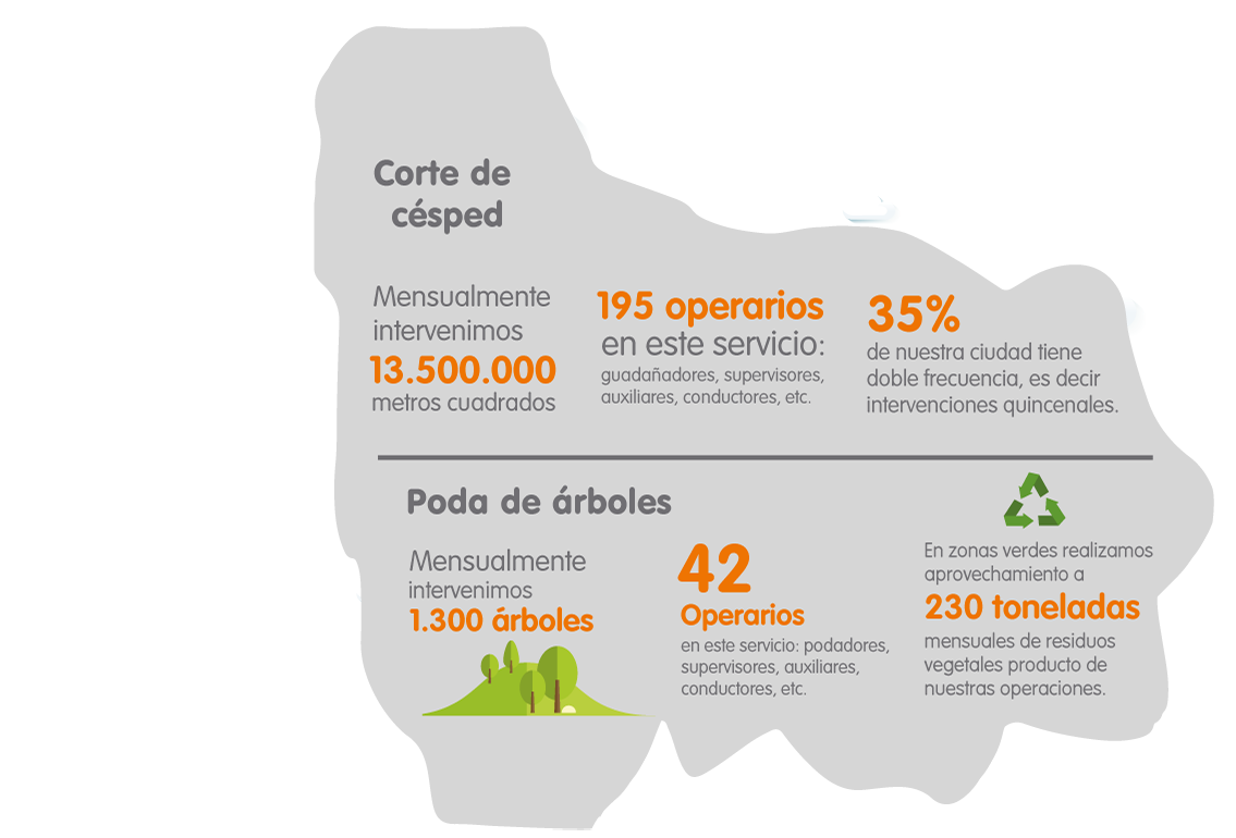 Corte de césped y poda de árboles
